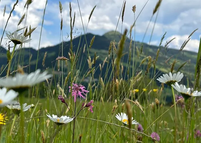 Apartment Wurzrainer *