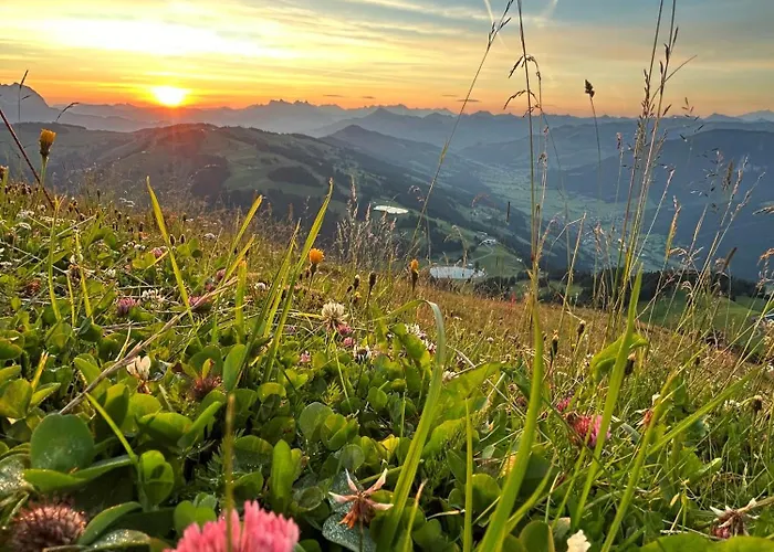Apartment Wurzrainer