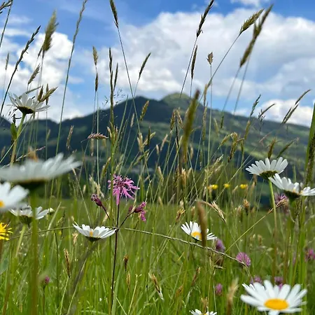 아파트 Wurzrainer *