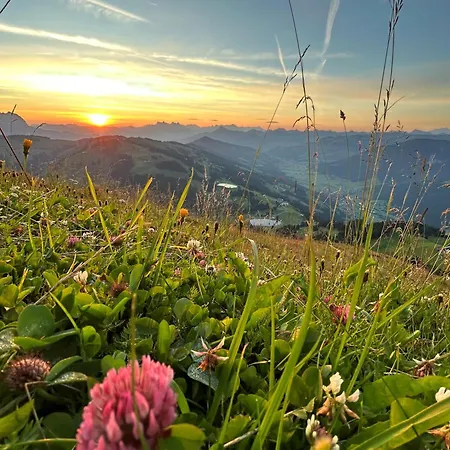 아파트 Wurzrainer